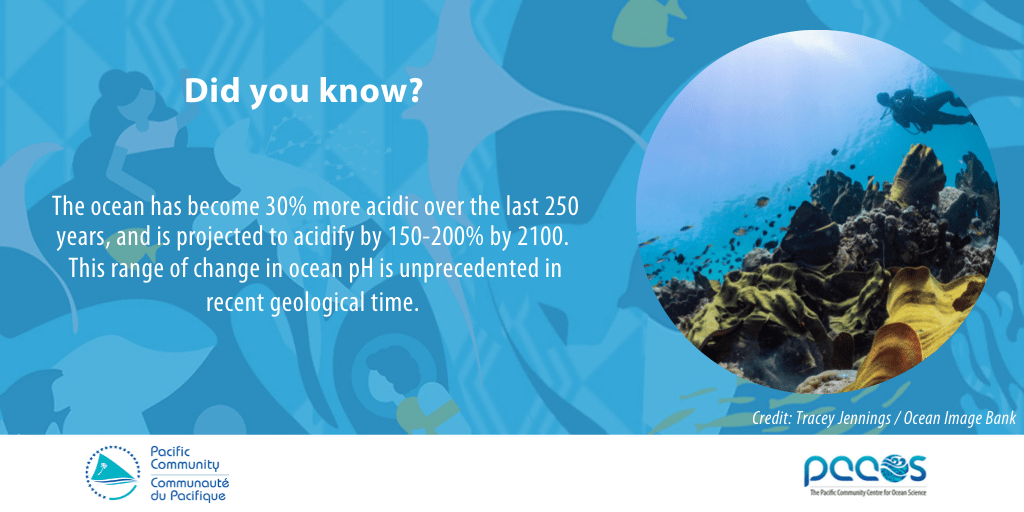 Ocean Acidification Week: The ocean has become 30% more acidic over the